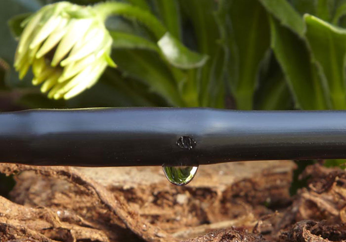 Irrigação gota a gota - Destaques