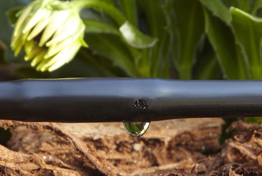 Irrigação gota a gota