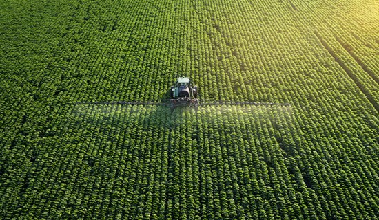 Aconcelhamento Técnico